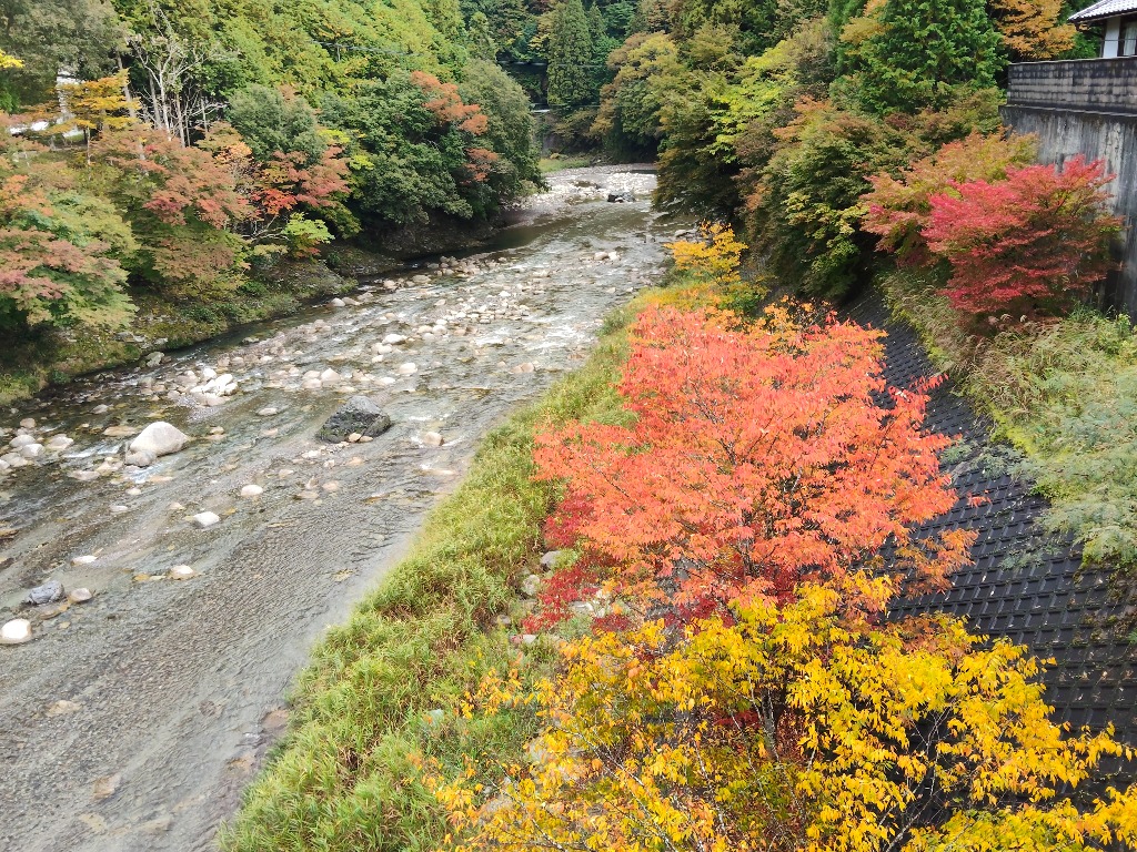 紅葉🍁便り