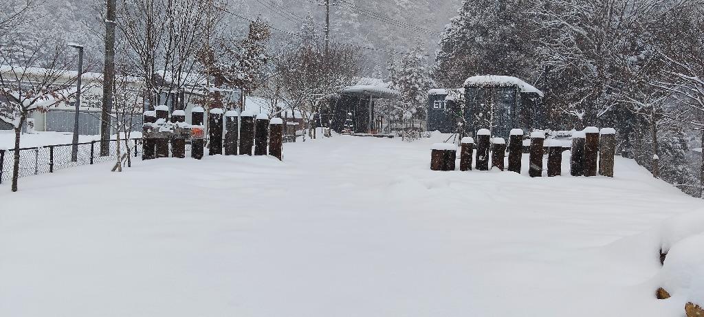 やっぱり大雪です