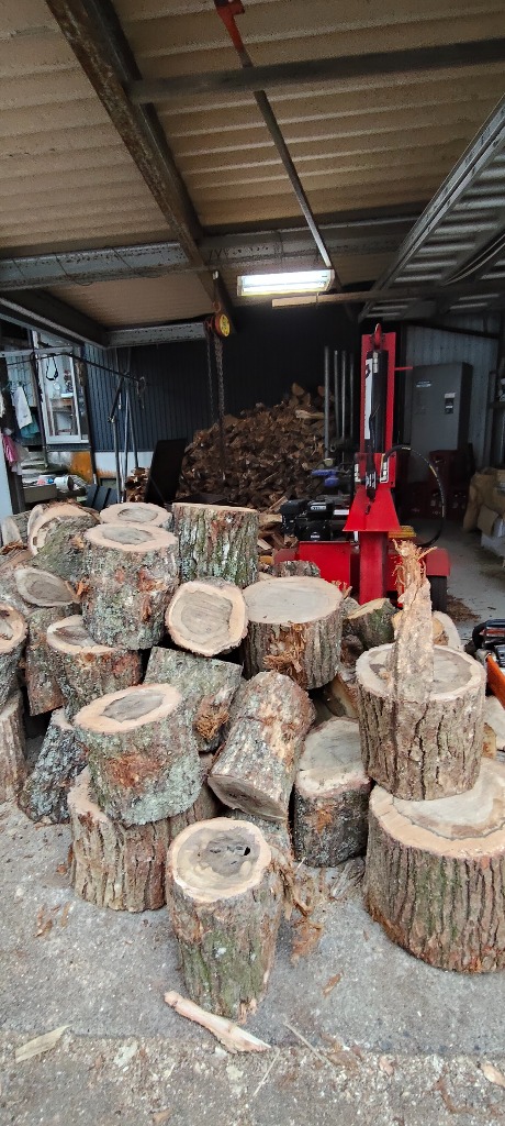 再来年の薪作り